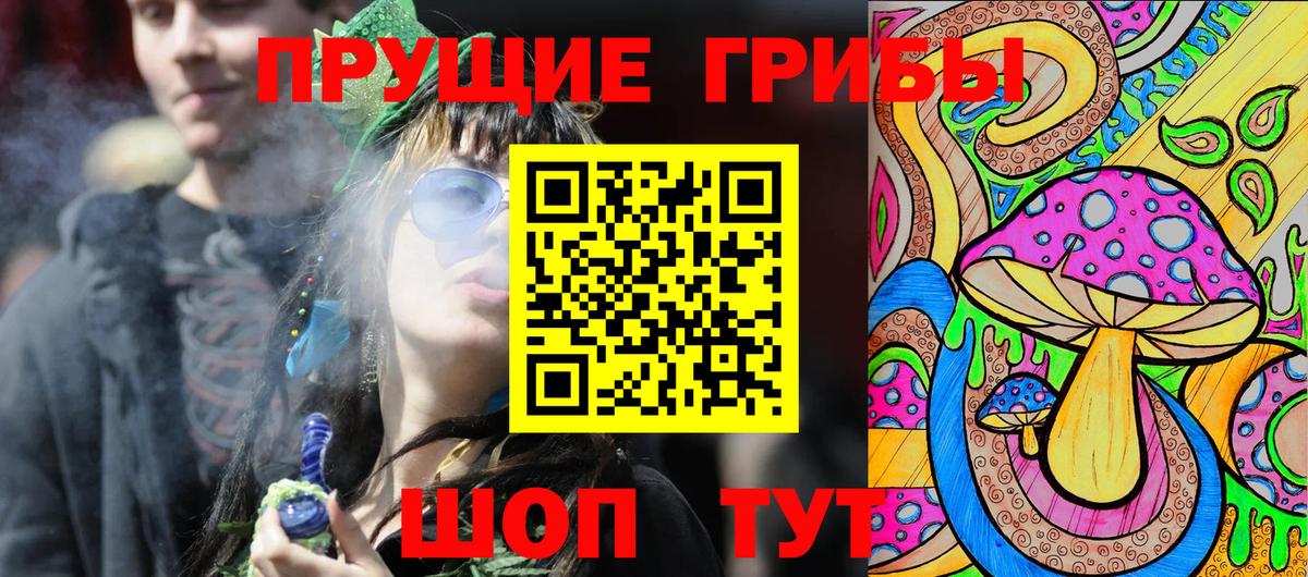 Галлюциногенные грибы Magic Shrooms  купить  сайты  Петрозаводск  Псилоцибиновые грибы Cubensis  Вход с VPN 